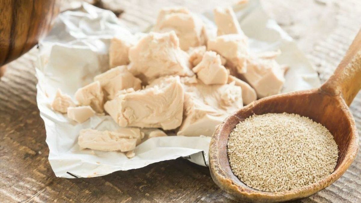 Какие овощи нельзя подкармливать дрожжами Какие овощи нельзя подкармливать дрожжами