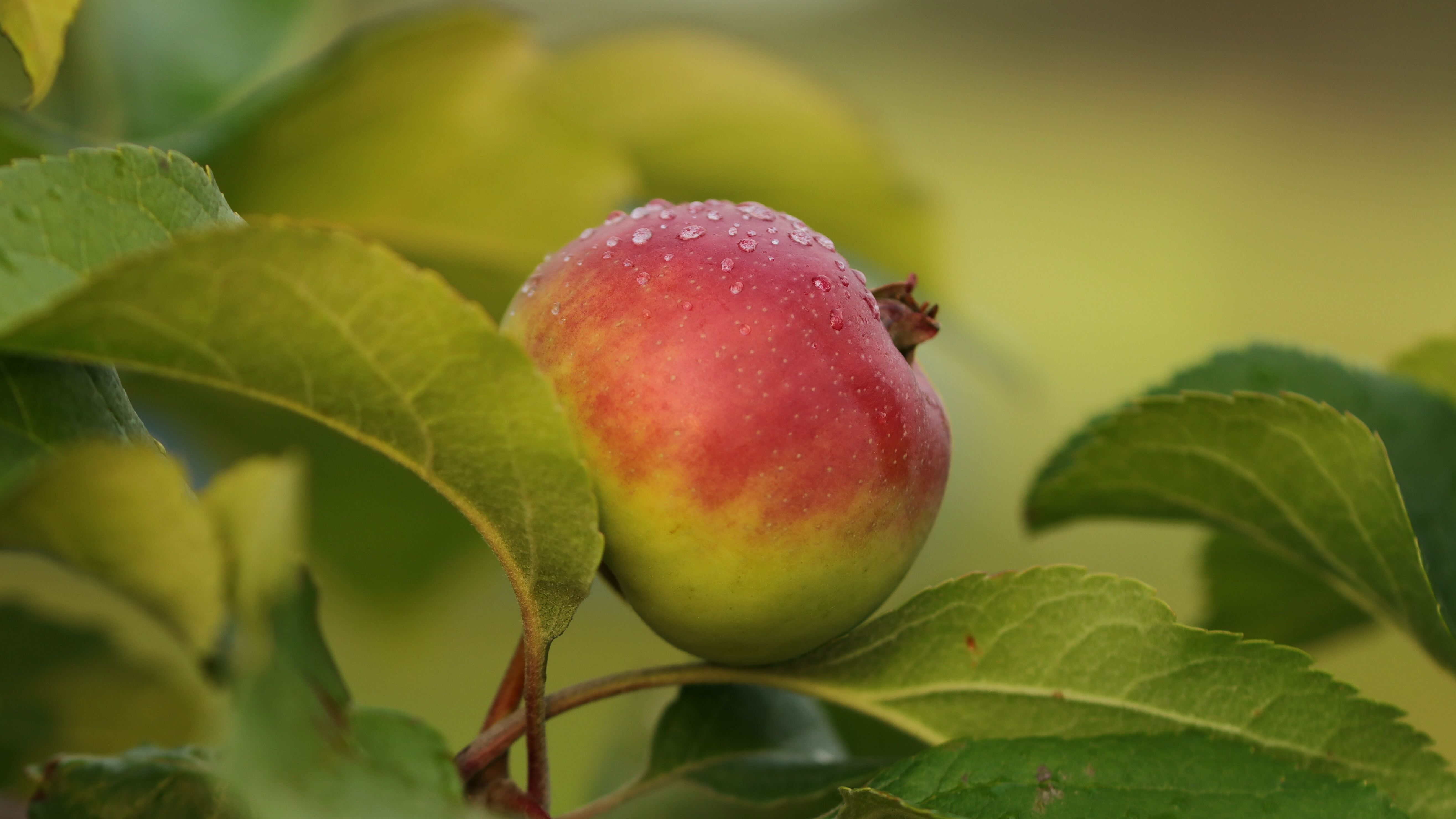 Какой праздник 27 августа Какой праздник 27 августа