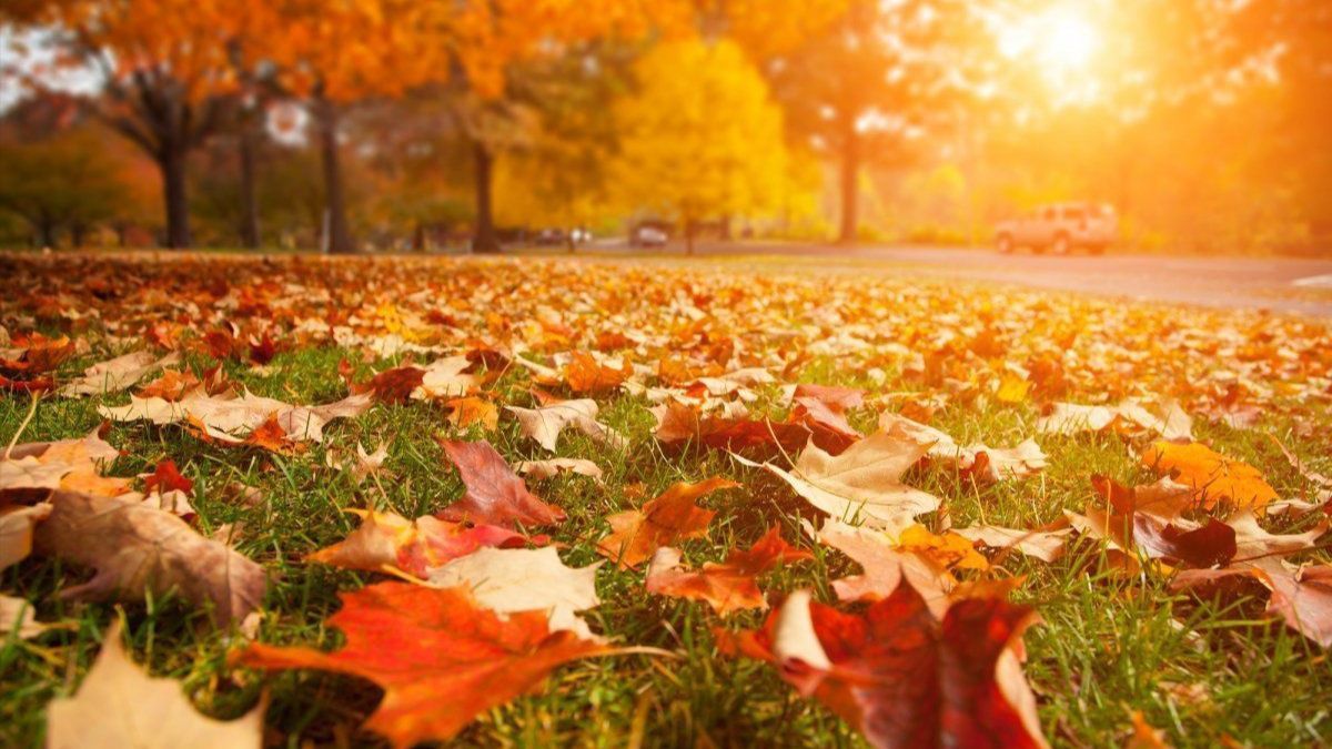 Выходные и праздники в сентябре 2023 Выходные и праздники в сентябре 2023