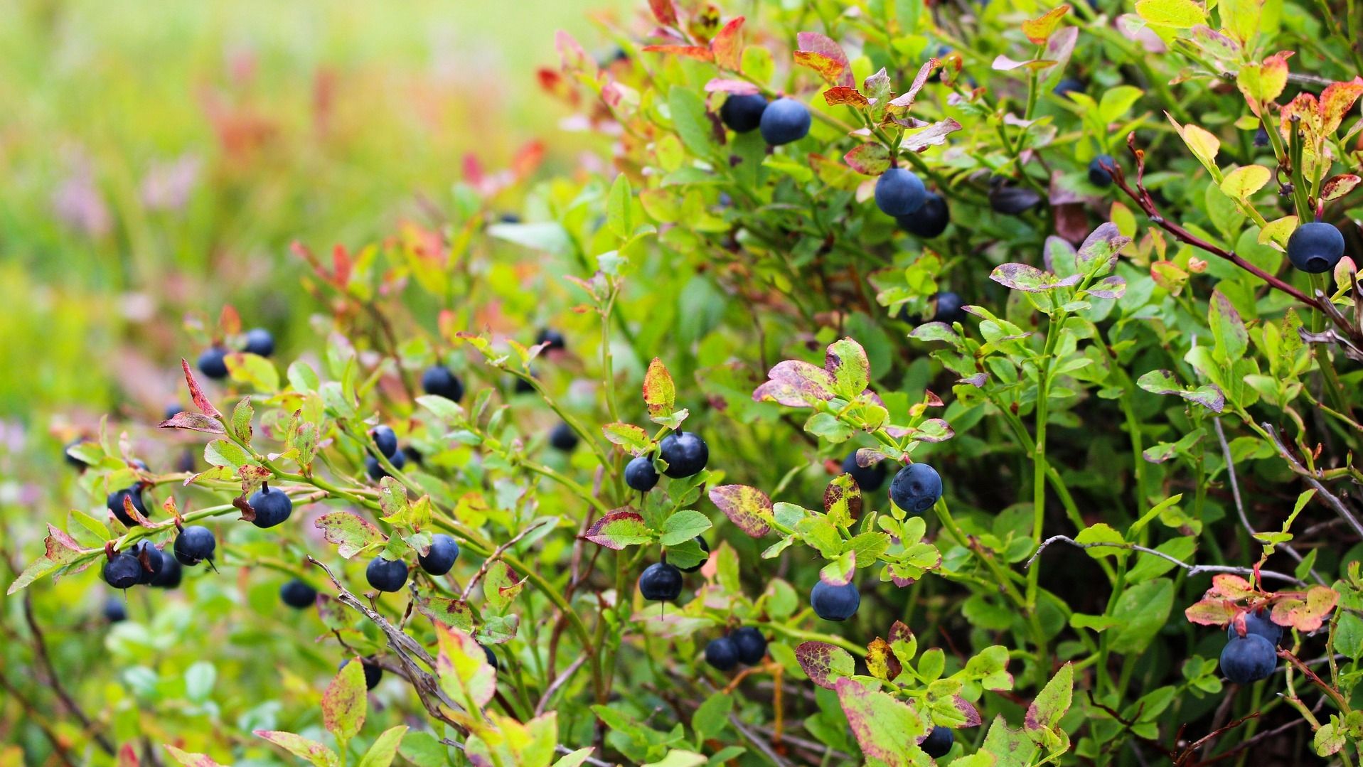 Какой праздник 30 августа Какой праздник 30 августа
