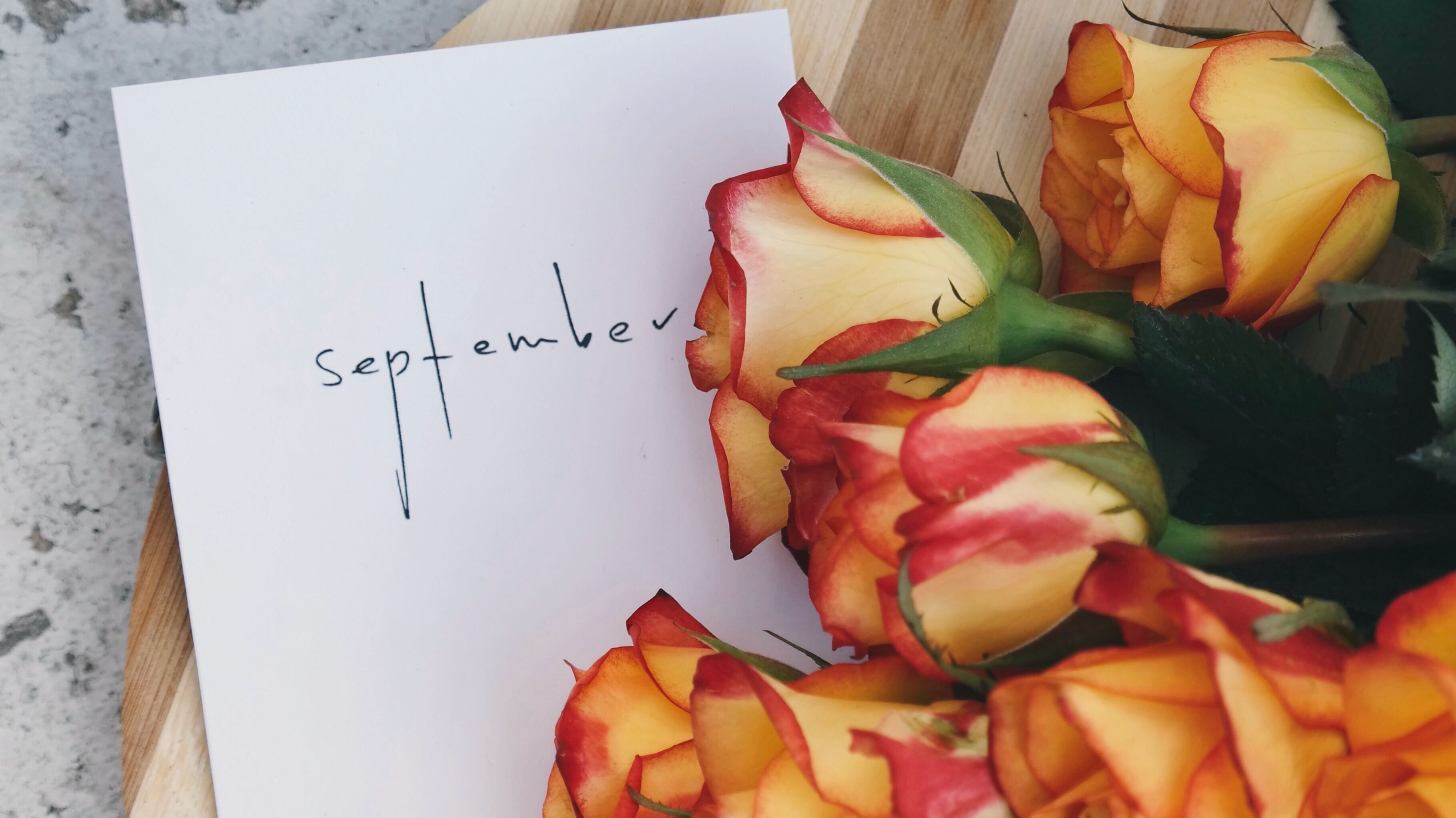 Какой праздник 1 сентября Какой праздник 1 сентября