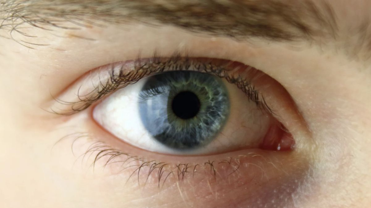 Самые привлекательные глаза у мужчин и женщин – какой цвет нравится больше всего