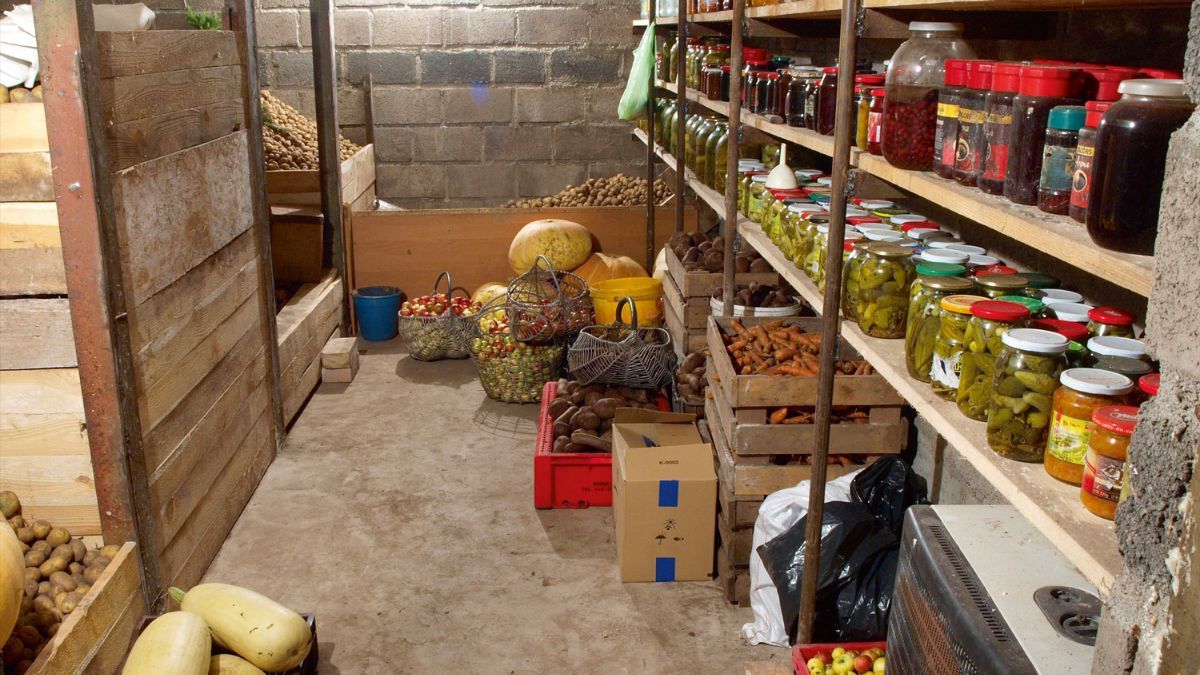 Как подготовить помещение к хранению урожая Как подготовить помещение к хранению урожая