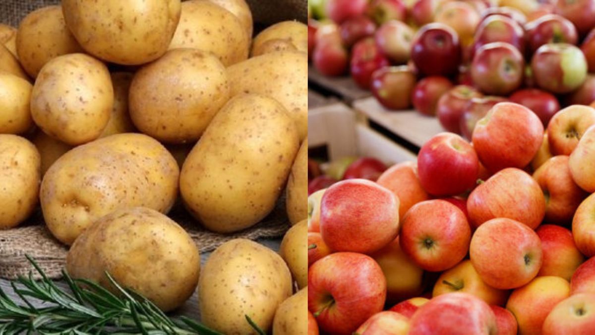 Навіщо зберігати картоплю разом з яблуками