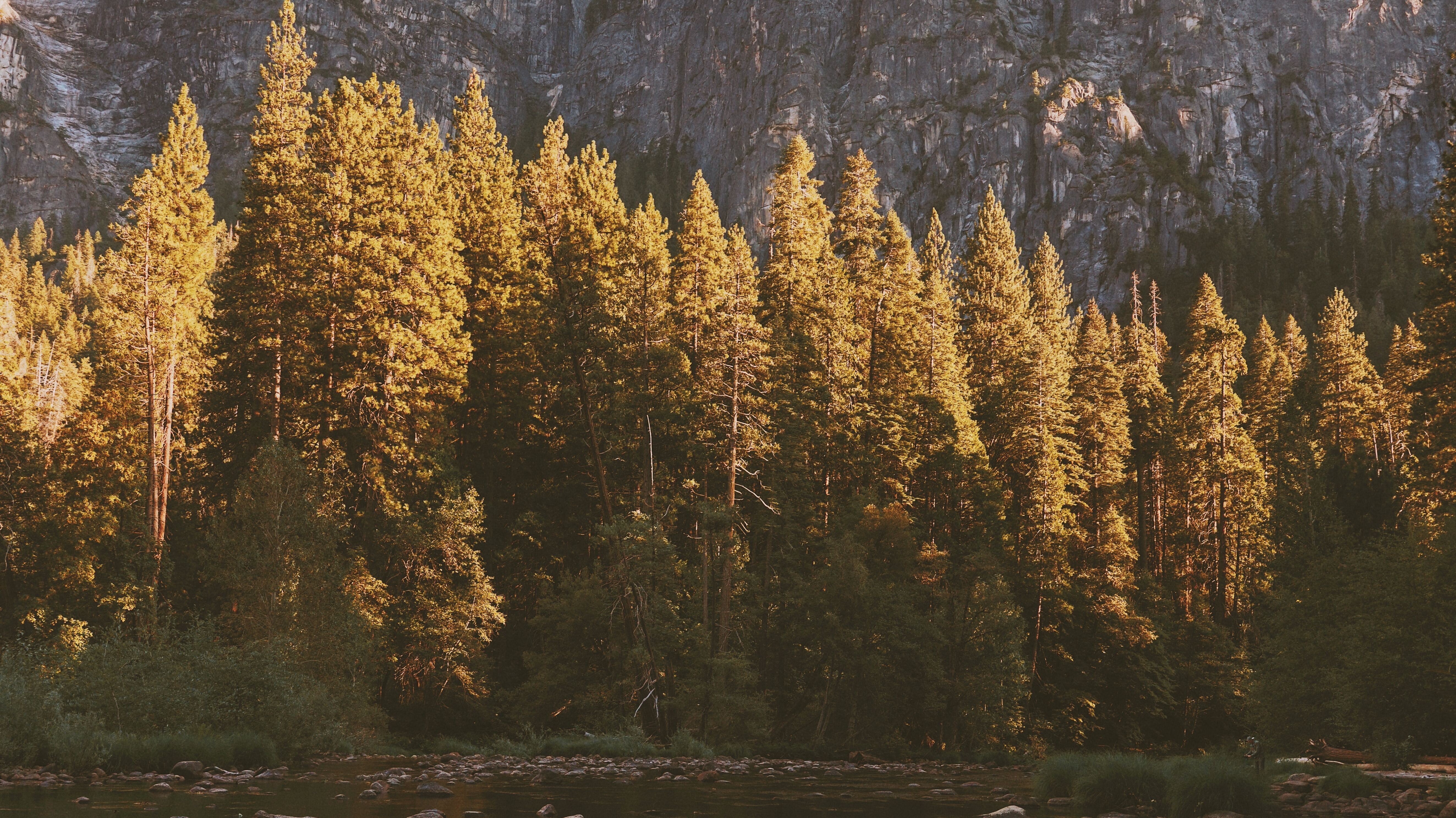 Какой праздник 15 сентября Какой праздник 15 сентября