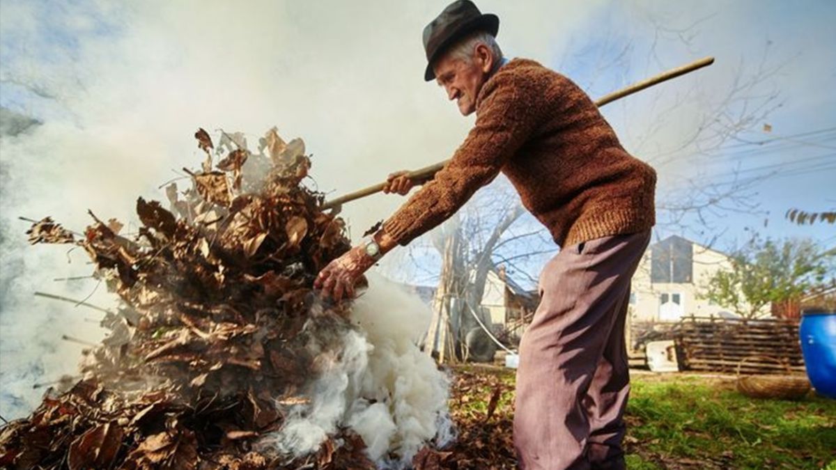 Почему нельзя сжигать остатки растений Почему нельзя сжигать остатки растений