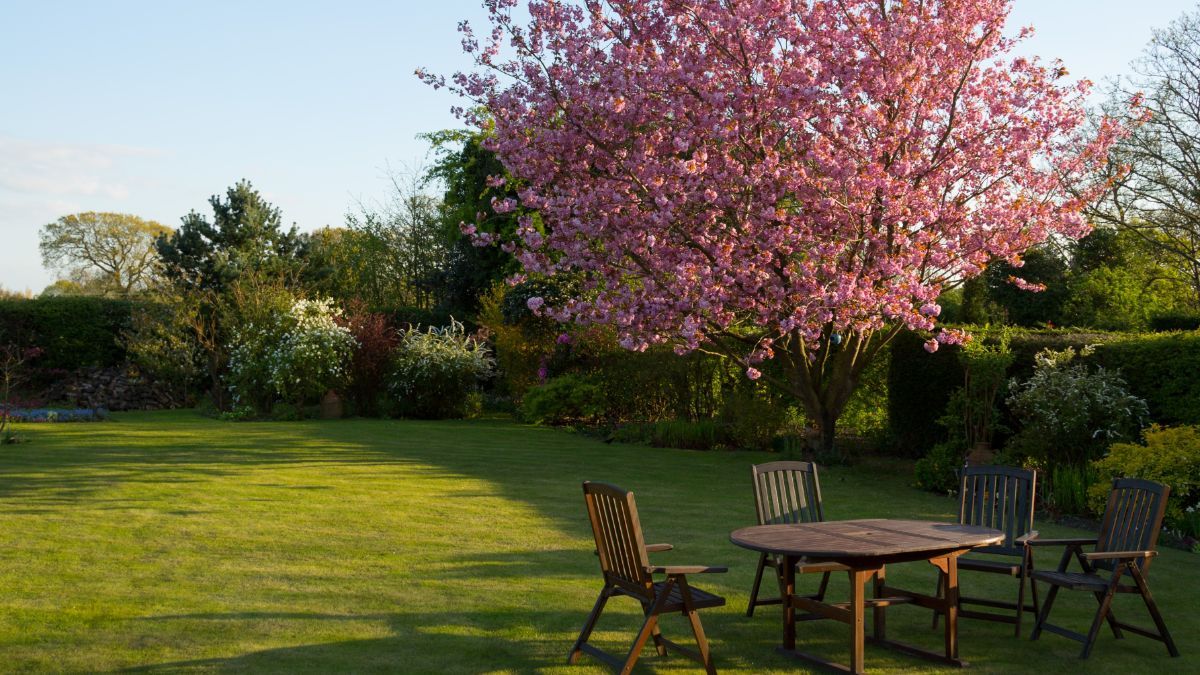 Как подготовить газон к зиме – советы, которые точно помогут Как подготовить газон к зиме – советы, которые точно помогут