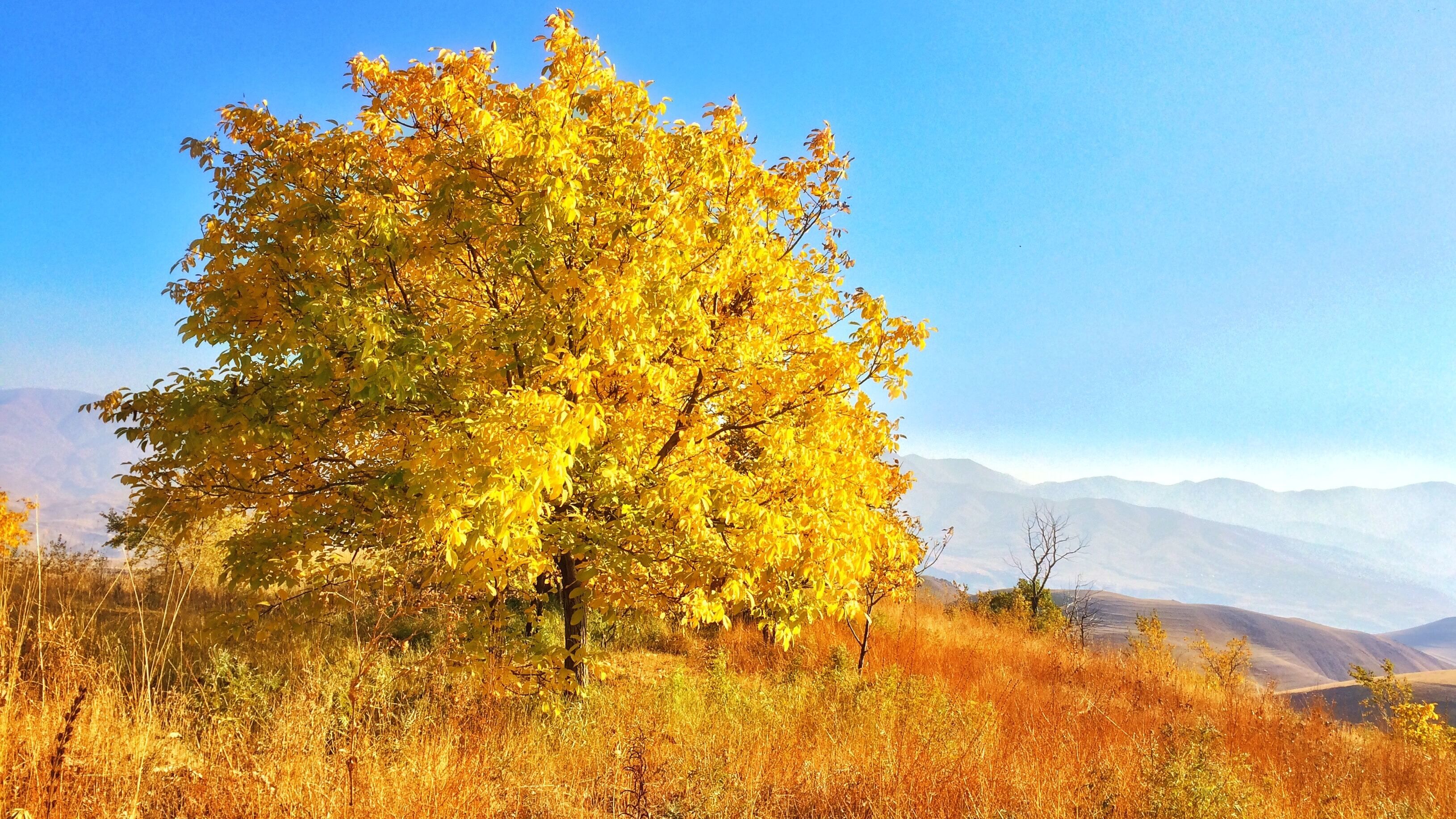 Яке свято 18 вересня Яке свято 18 вересня