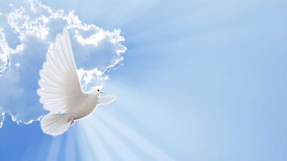 День миру 2023 в Україні День миру 2023 в Україні