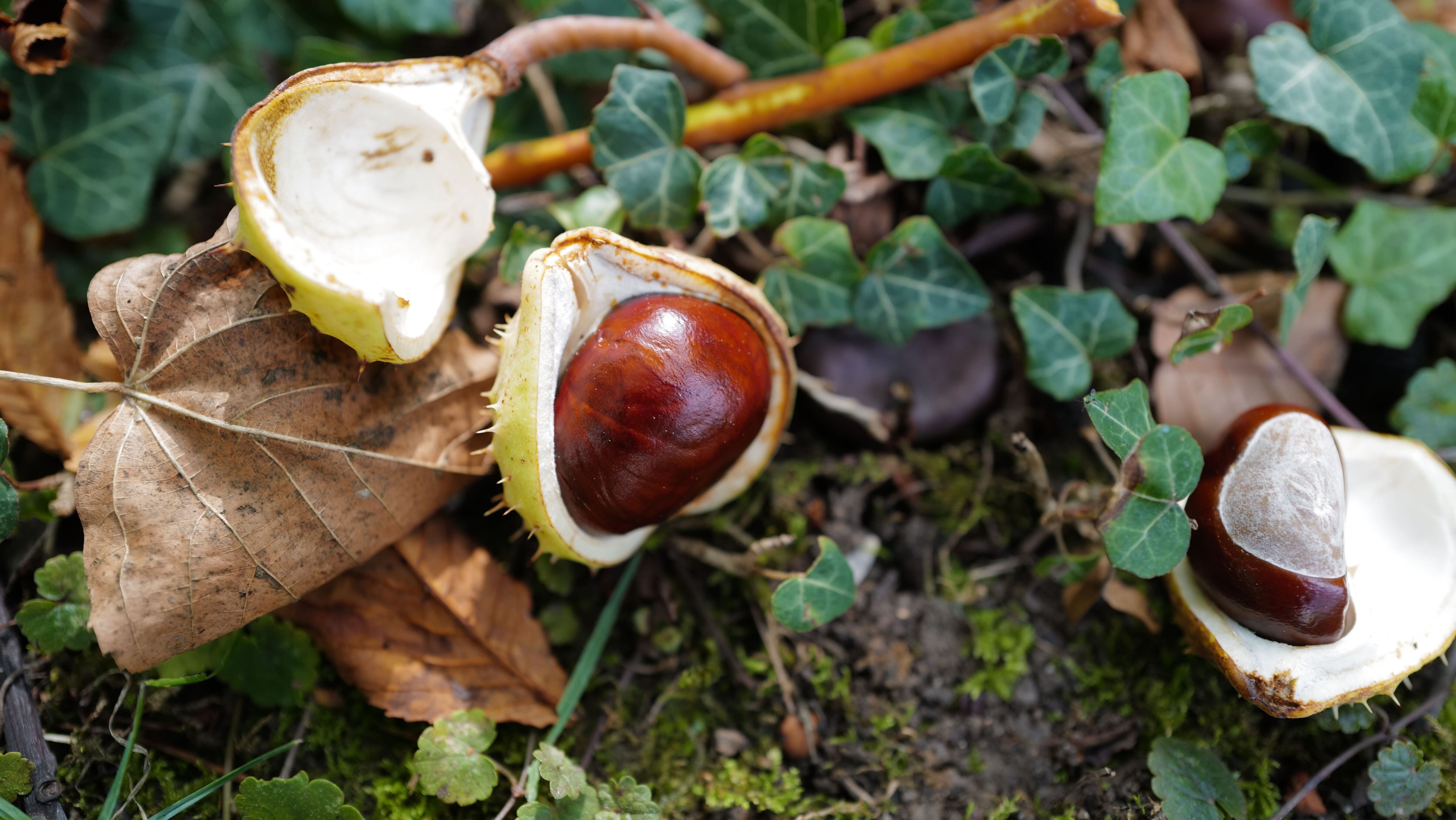 Какой праздник 19 сентября Какой праздник 19 сентября