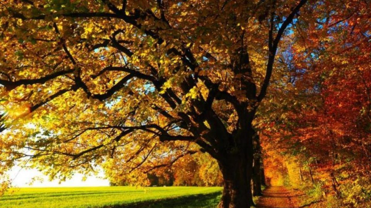 Прикмети у День осіннього рівнодення Прикмети у День осіннього рівнодення