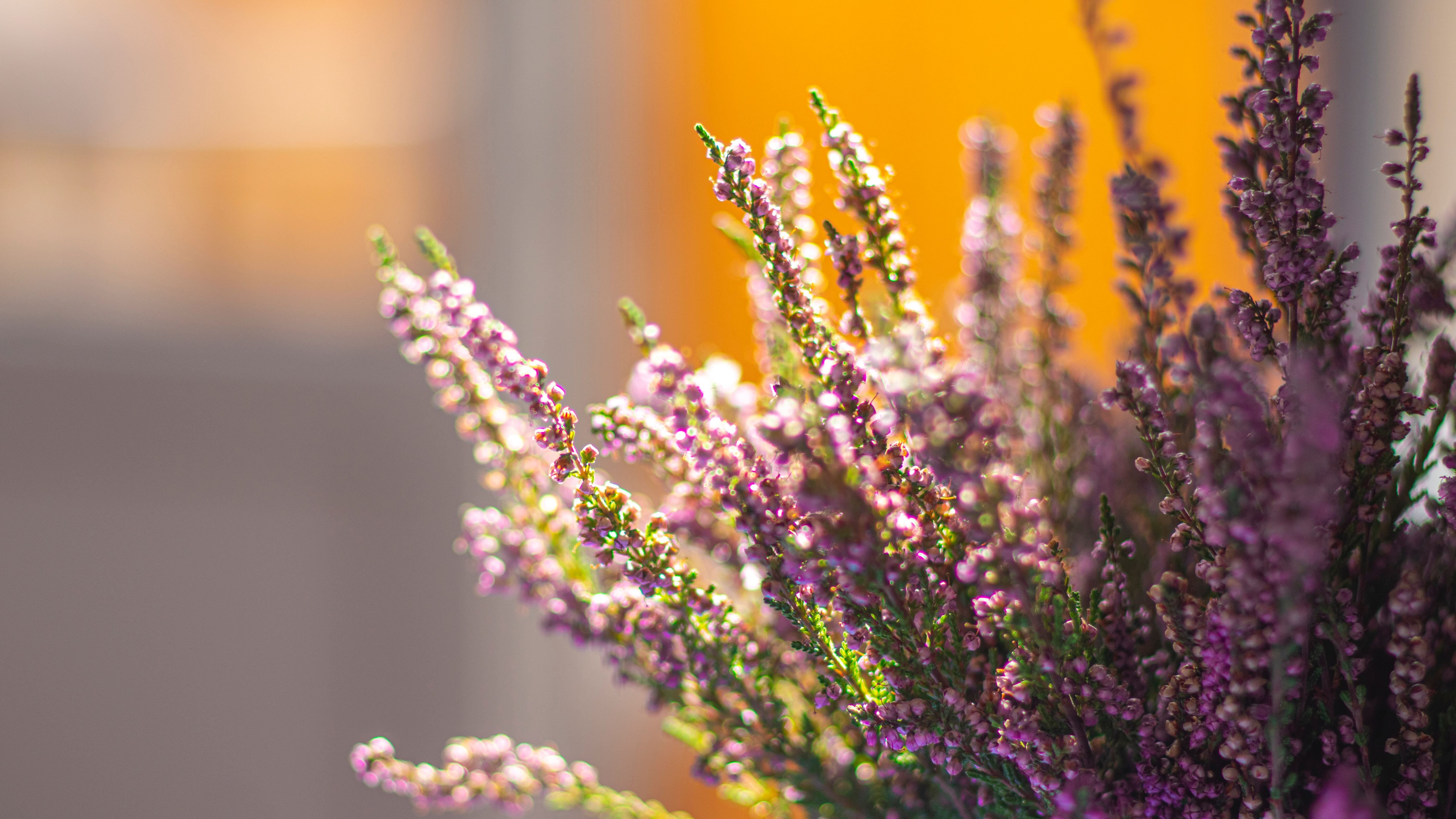 Какой праздник 26 сентября Какой праздник 26 сентября