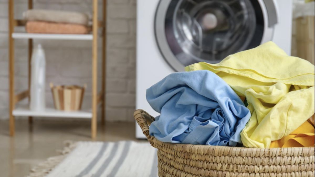 Одежду какого цвета запрещено стирать вместе Одежду какого цвета запрещено стирать вместе