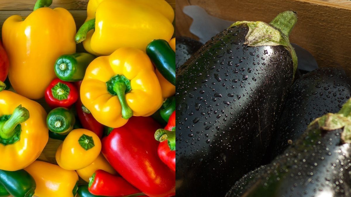 Як змусити перці та баклажани дозріти Як змусити перці та баклажани дозріти
