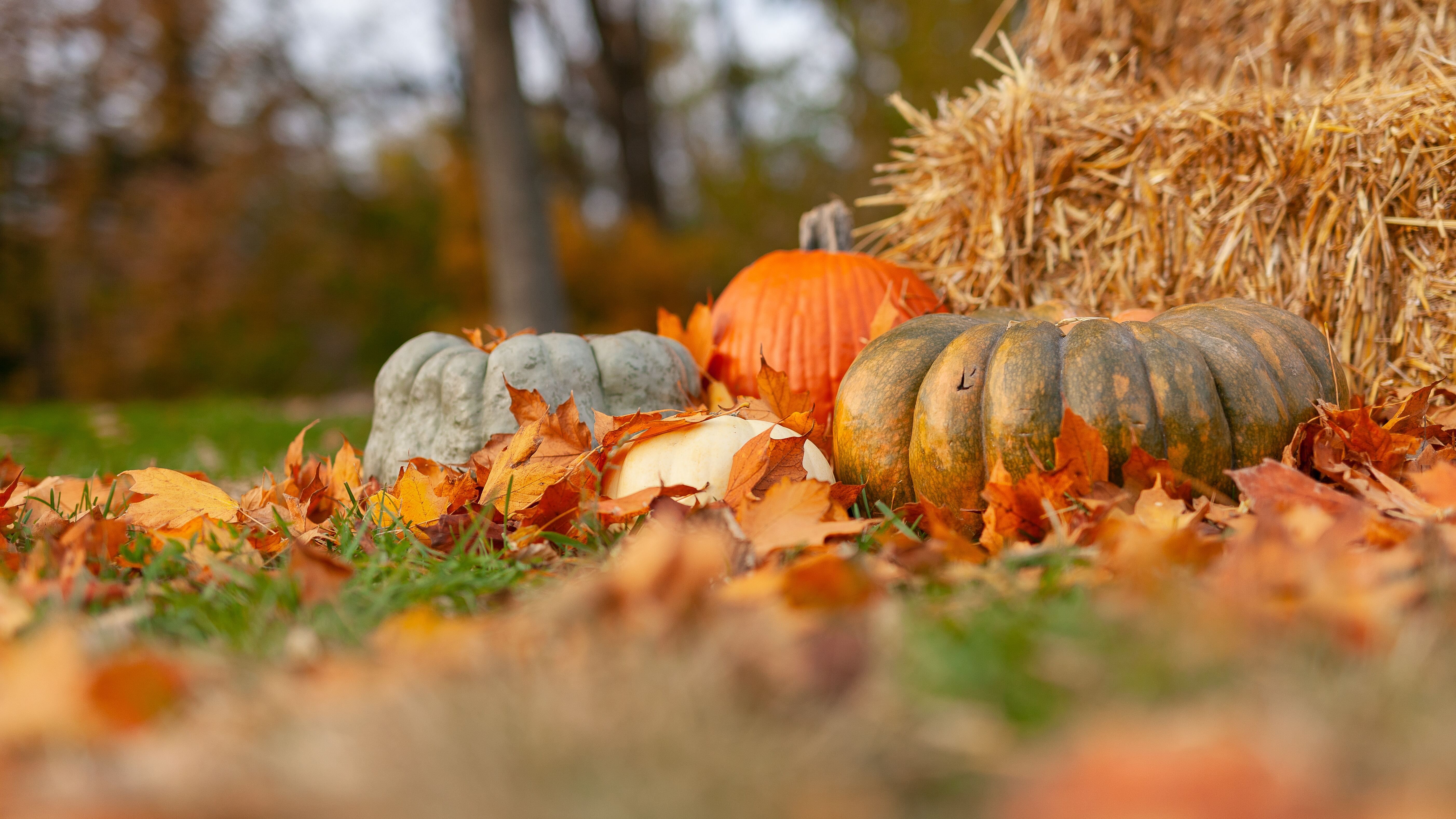 Какой праздник 2 октября Какой праздник 2 октября