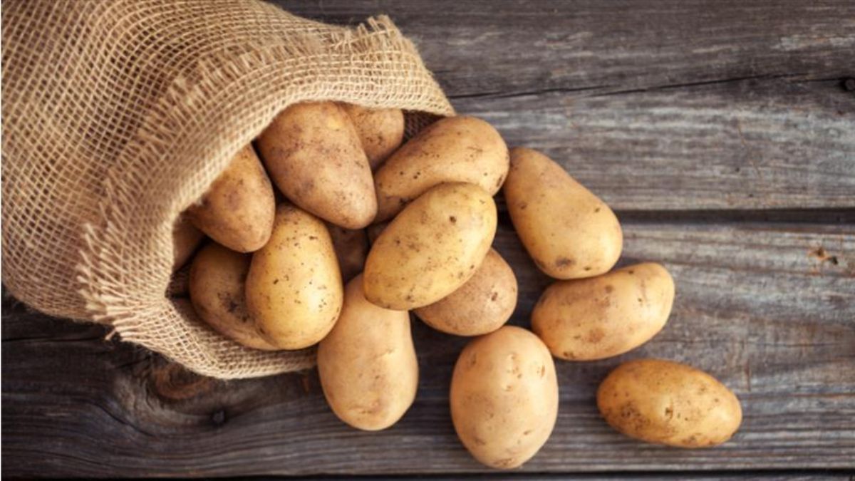 Як не можна зберігати картоплю