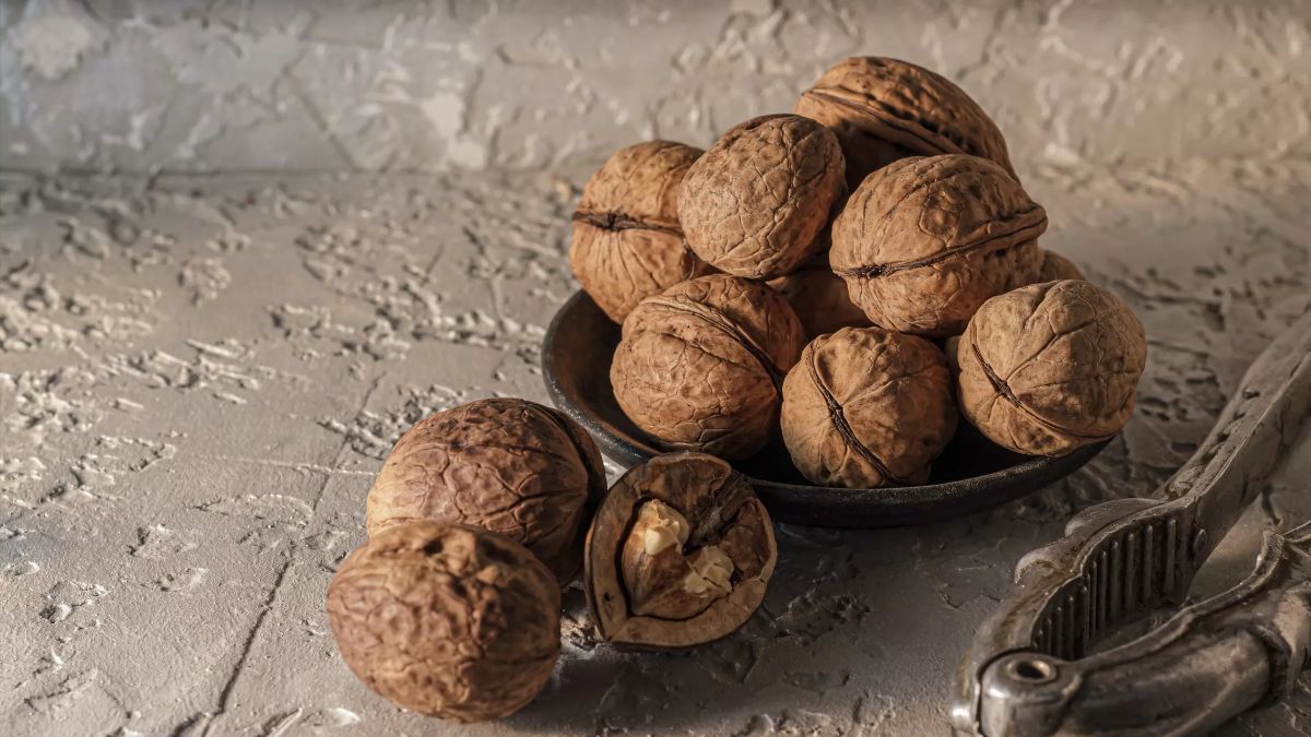 Как и где правильно хранить орехи Как и где правильно хранить орехи