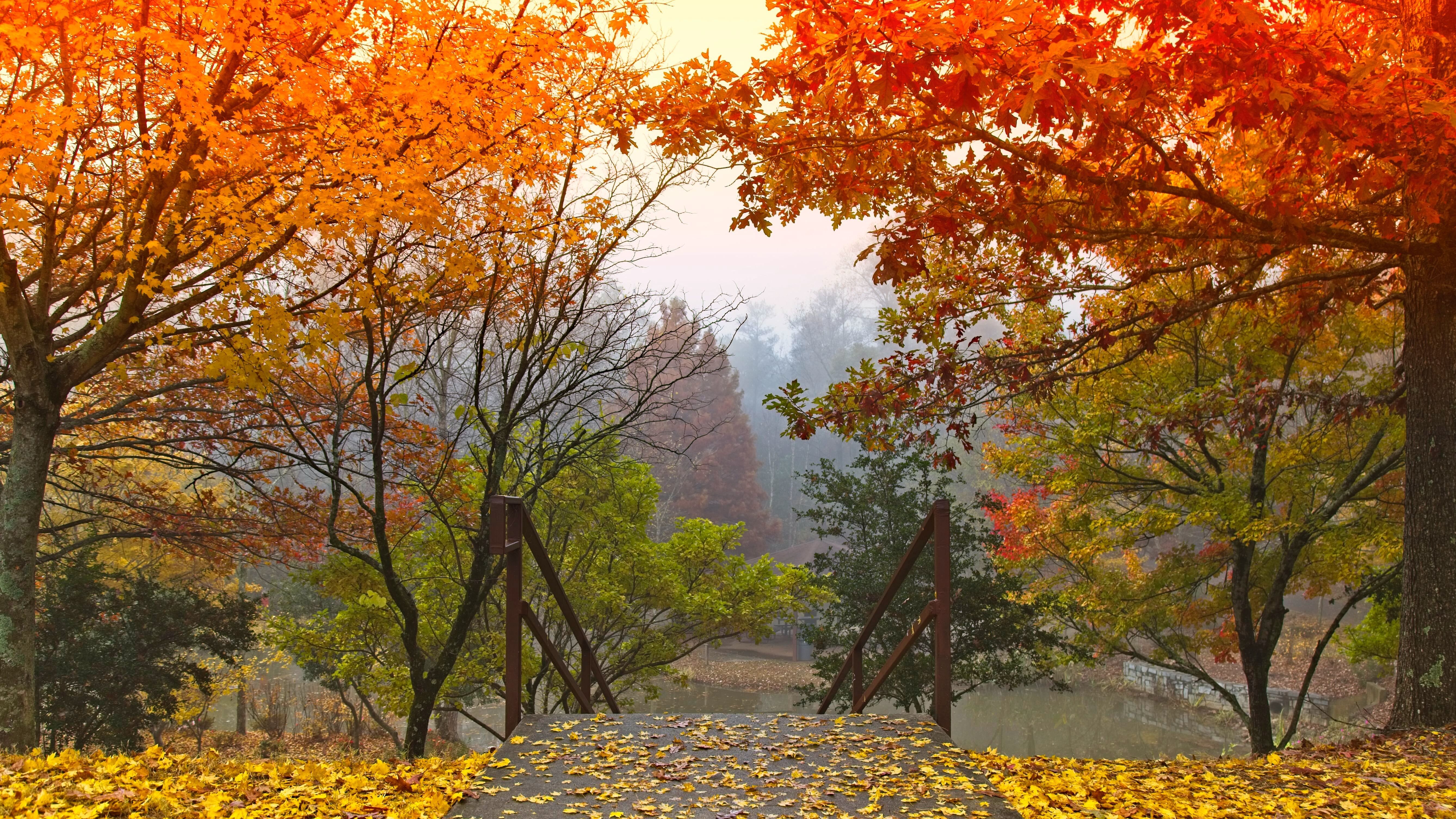 Какой праздник 10 октября Какой праздник 10 октября