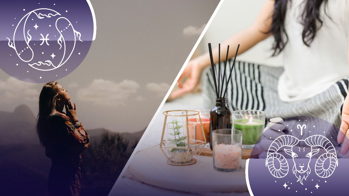 Холоднокровные знаки зодиака Холоднокровные знаки зодиака