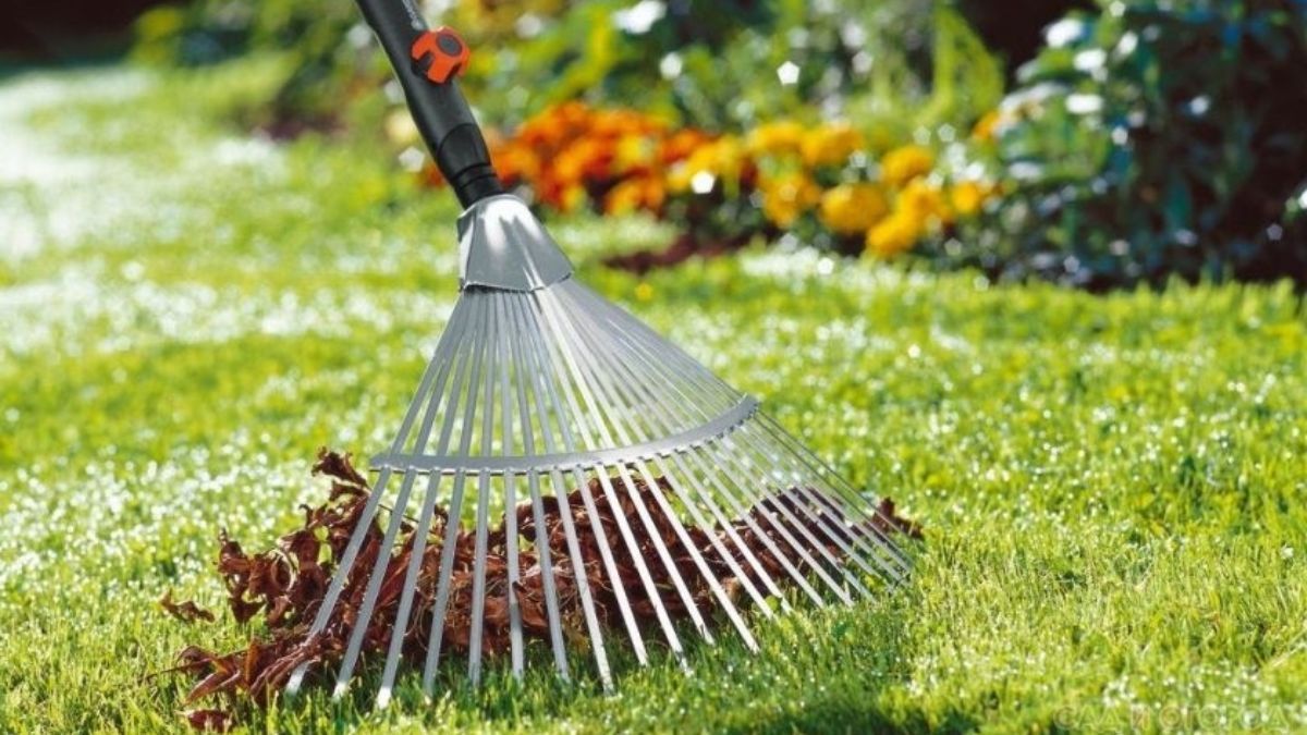 Що зробити з газоном восени, щоб він пережив заморозки Що зробити з газоном восени, щоб він пережив заморозки