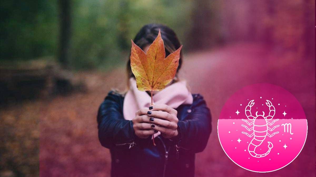 Какие знаки зодиака останутся одинокими до конца октября Какие знаки зодиака останутся одинокими до конца октября