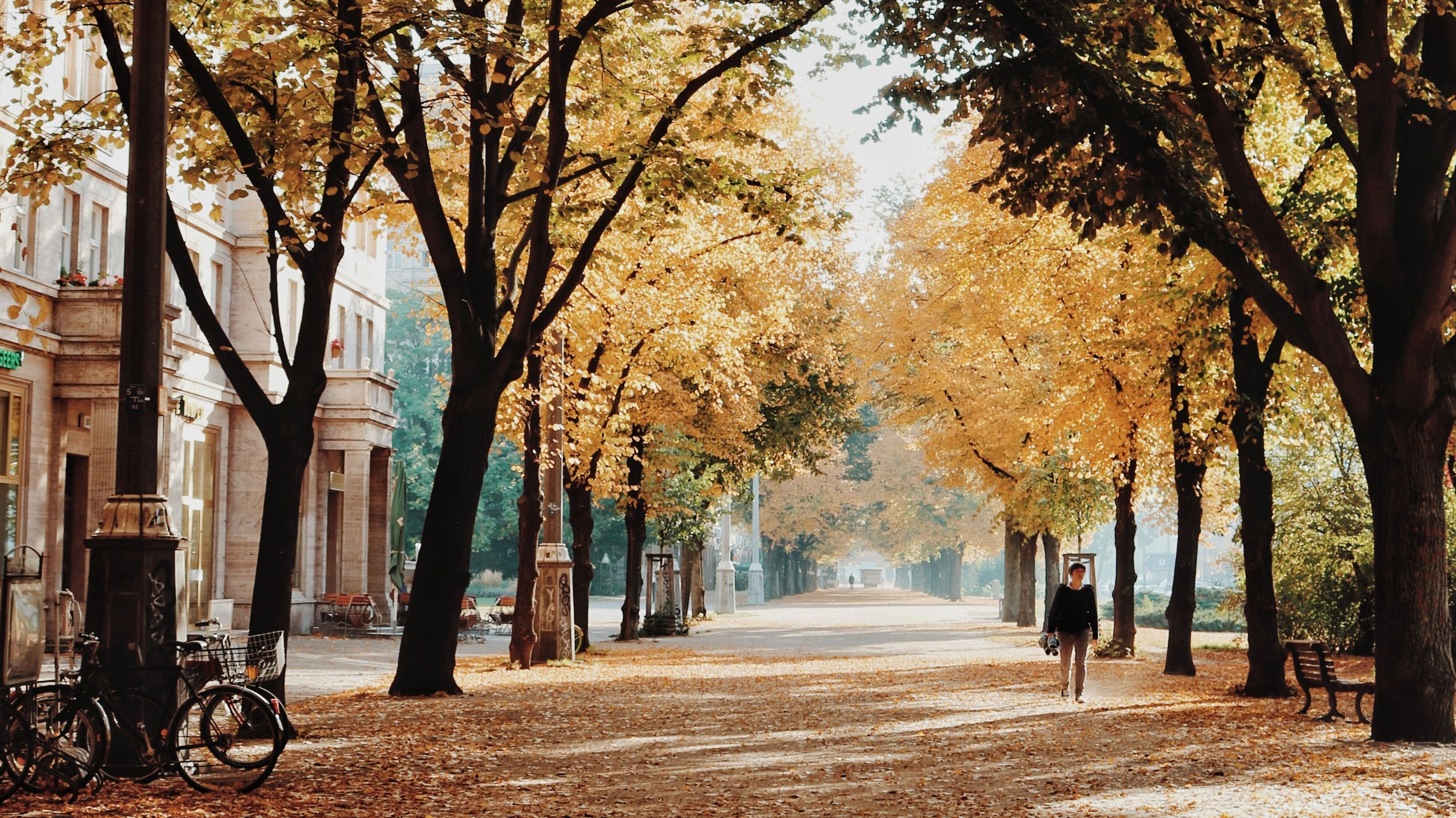Какой праздник 14 октября Какой праздник 14 октября