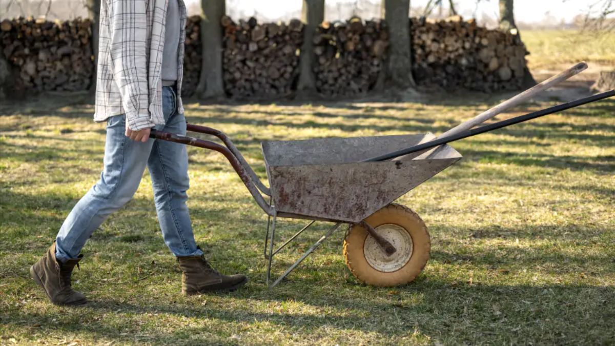Что нужно успеть сделать в саду до конца октября Что нужно успеть сделать в саду до конца октября