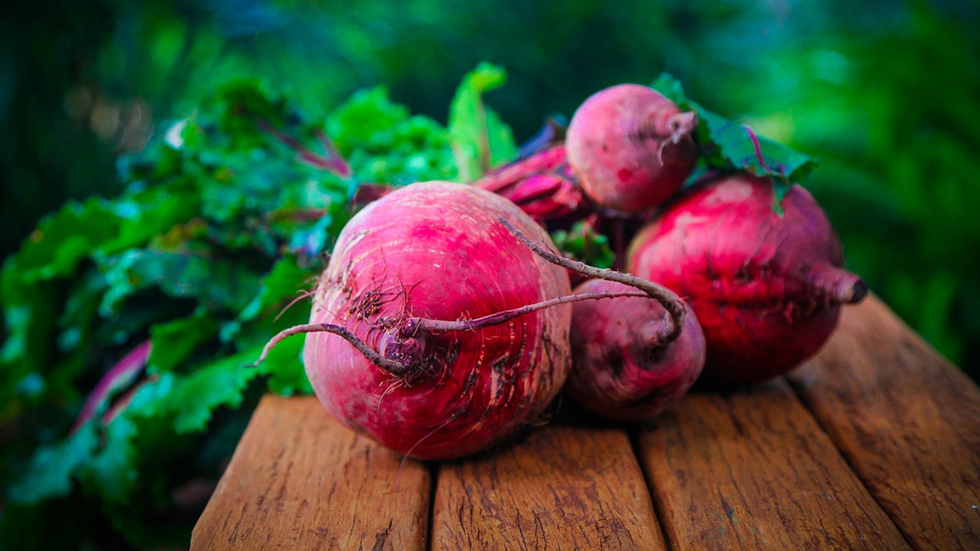 Как подготовить свеклу к хранению - Lifestyle 24 Как подготовить свеклу к хранению - Lifestyle 24