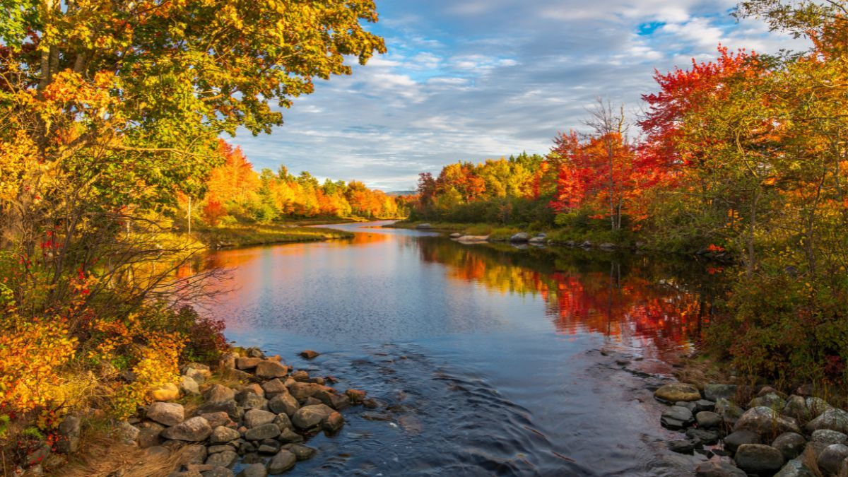 Яке свято 25 жовтня Яке свято 25 жовтня