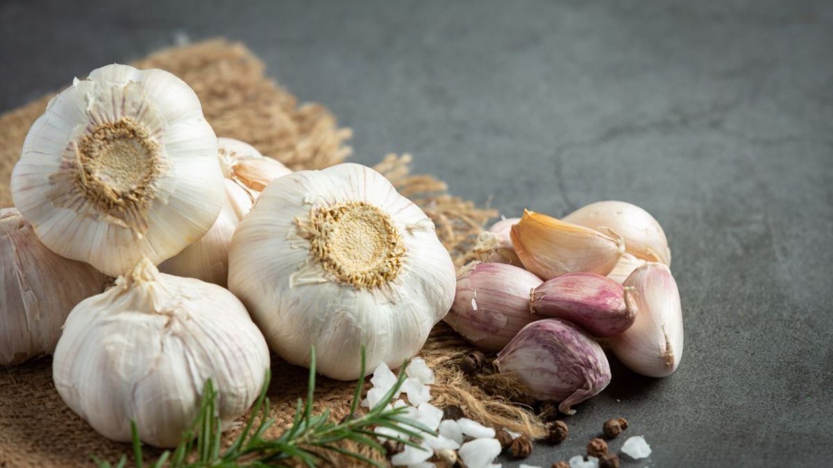 Сприятливі дні для посадки цибулі та часнику Сприятливі дні для посадки цибулі та часнику