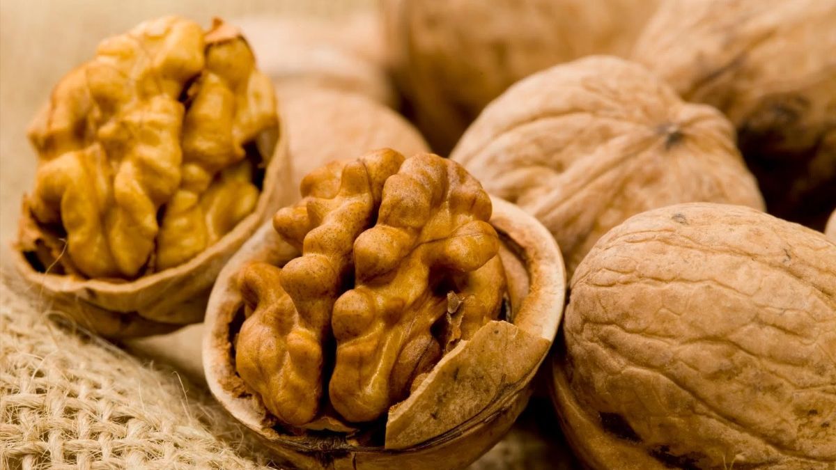 Як посадити горіх з ядра Як посадити горіх з ядра