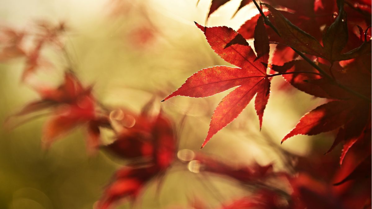 27 октября – какой сегодня праздник 27 октября – какой сегодня праздник