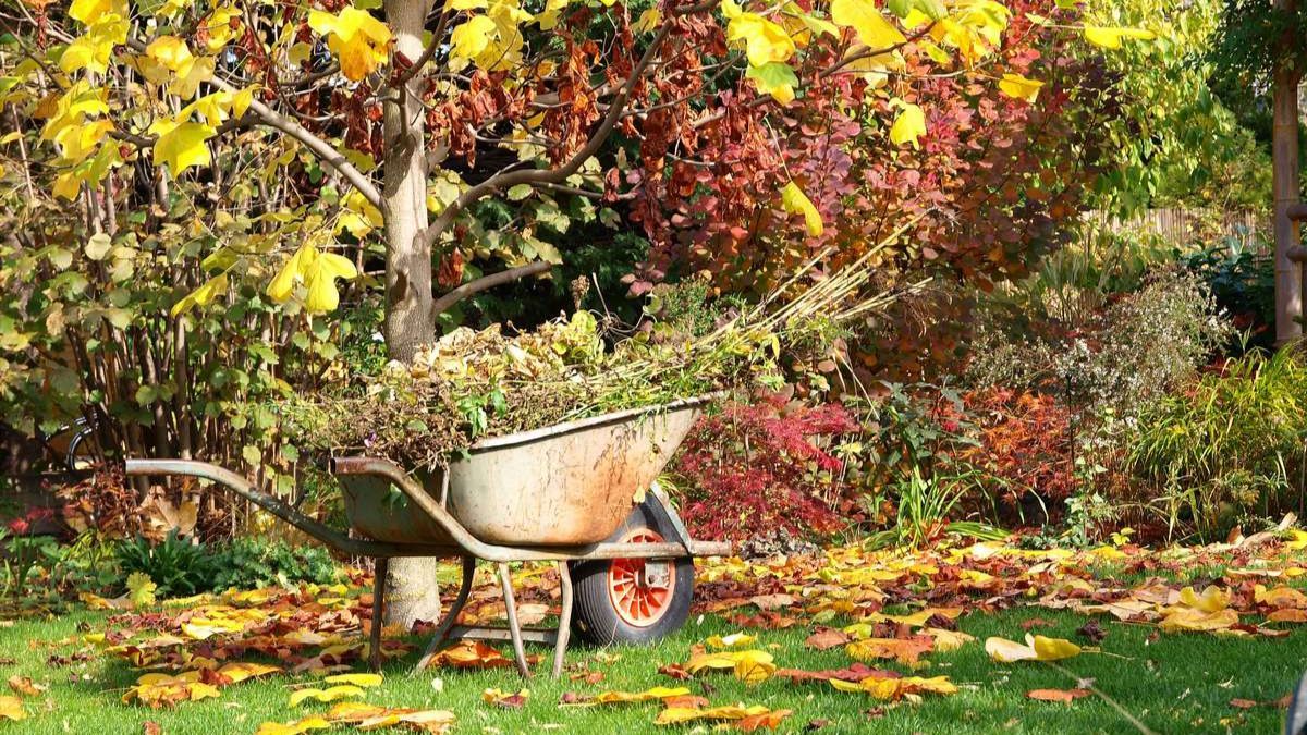 Чим обов’язково треба підживити сад восени