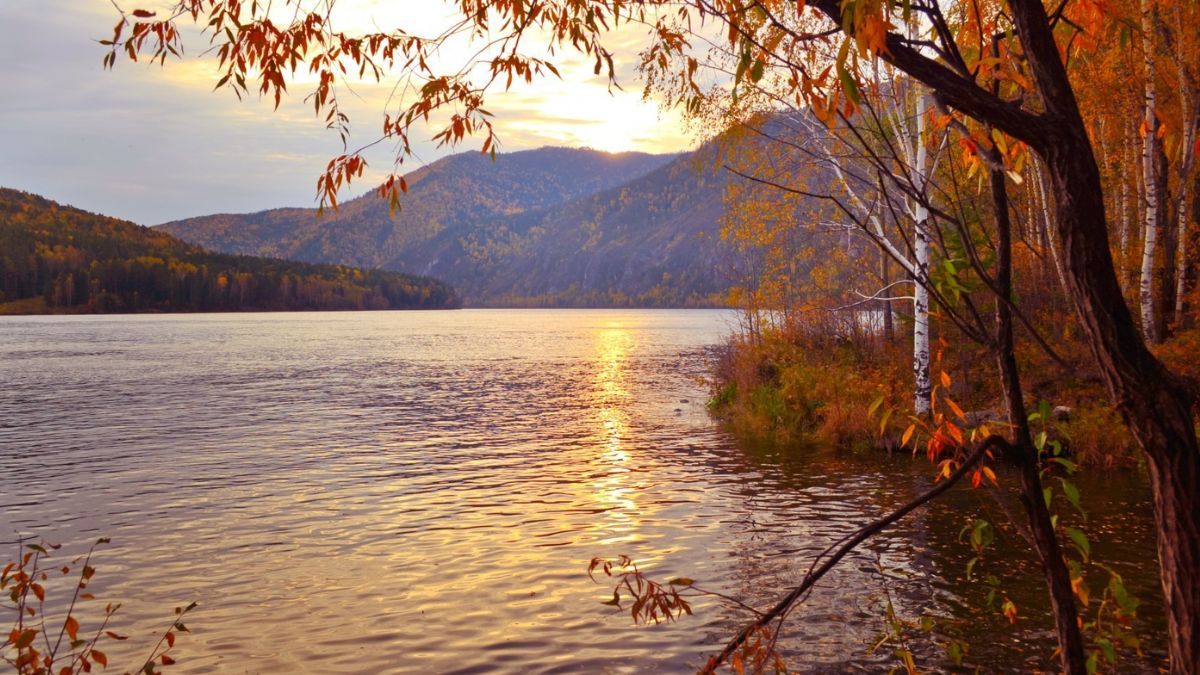 Какой сегодня праздник 1 ноября Какой сегодня праздник 1 ноября