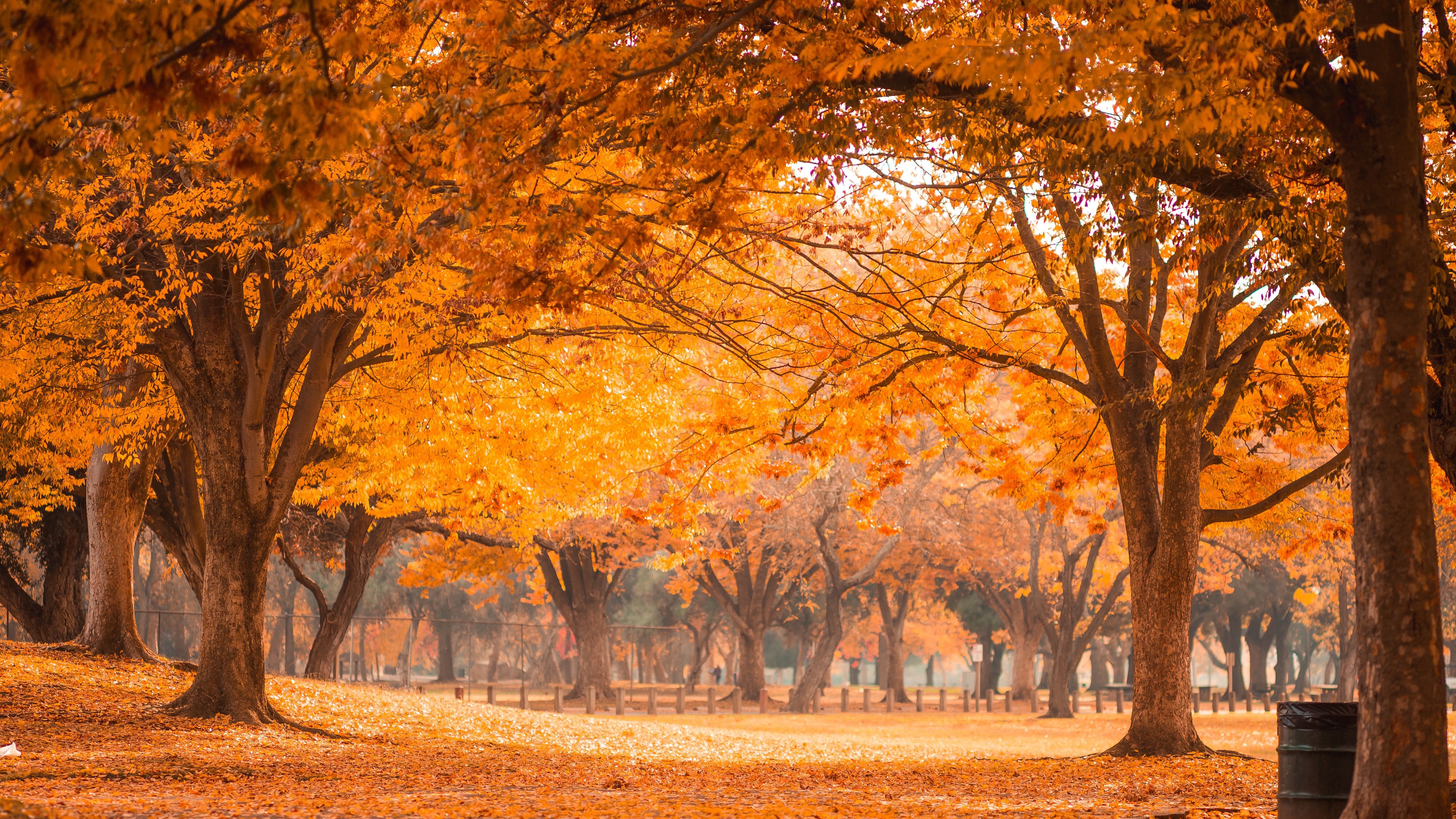 Какой праздник 13 ноября Какой праздник 13 ноября