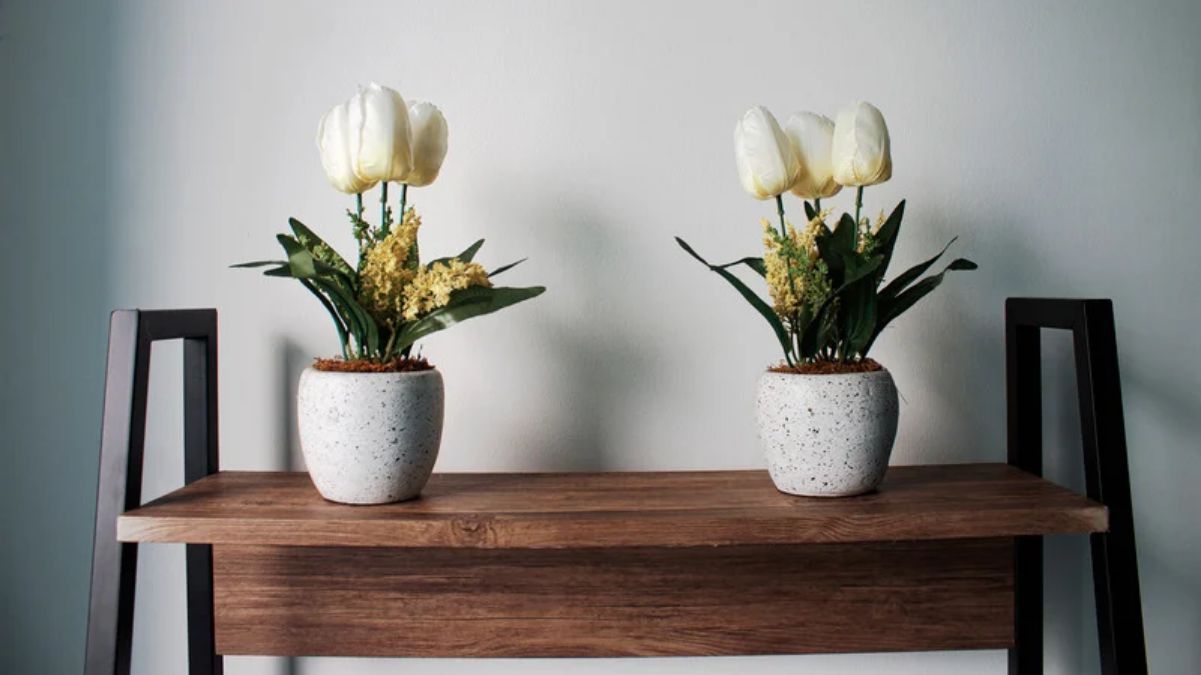 Уход за вазонами зимой Уход за вазонами зимой