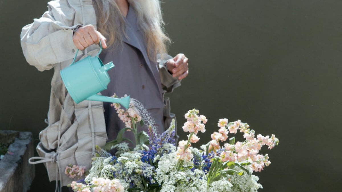 Почему нельзя поливать цветы днем Почему нельзя поливать цветы днем