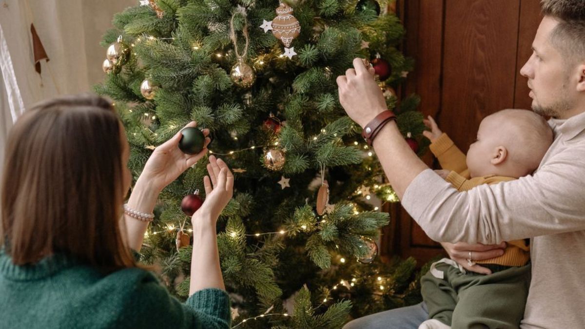 Що обов'язково треба повісити на дерево Що обов'язково треба повісити на дерево