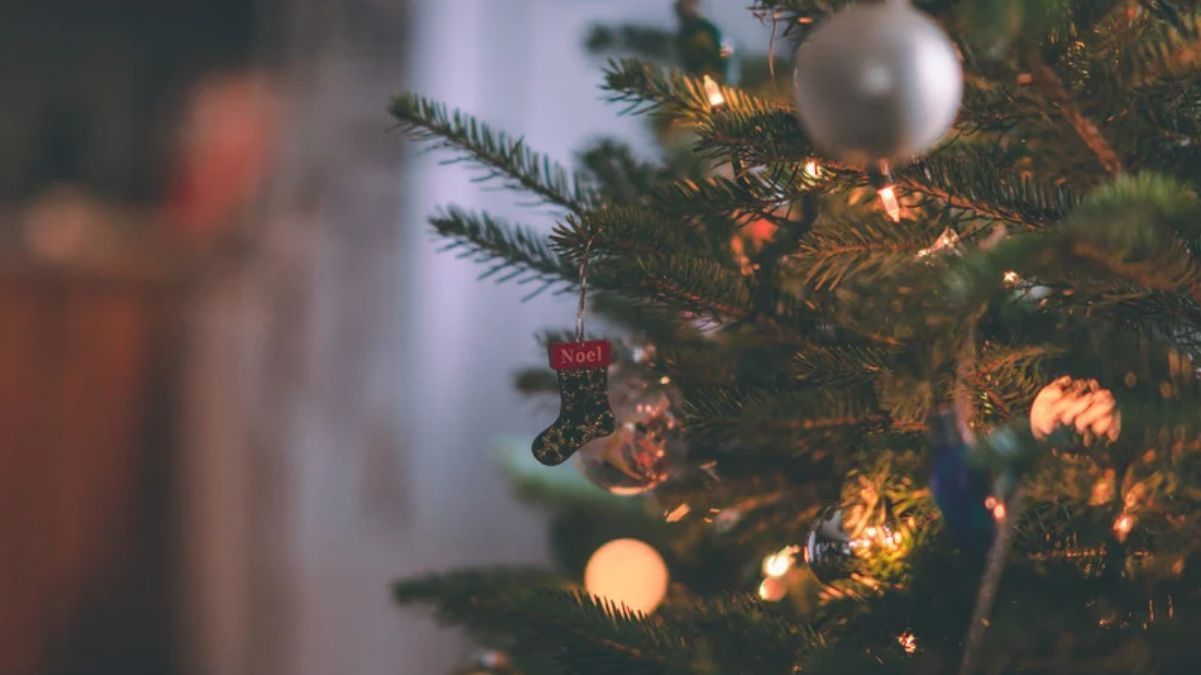 Когда вешать свет на елку Когда вешать свет на елку