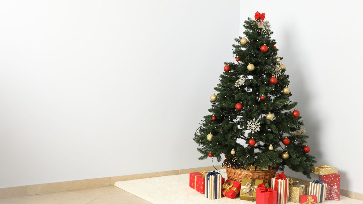 Живая или искусственная елка Живая или искусственная елка