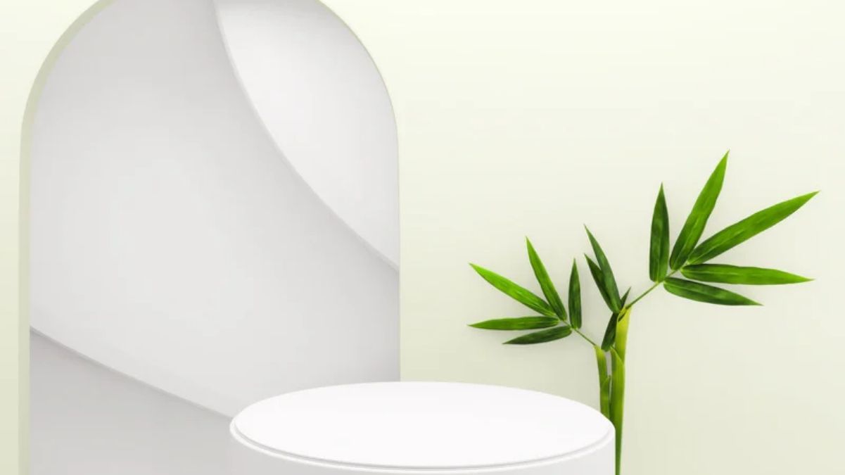 Какие растения принесут изобилие в 2024 году Какие растения принесут изобилие в 2024 году