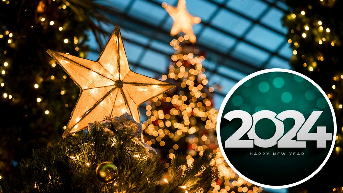 Какое животное – символ 2024 года - Lifestyle 24 Какое животное – символ 2024 года - Lifestyle 24