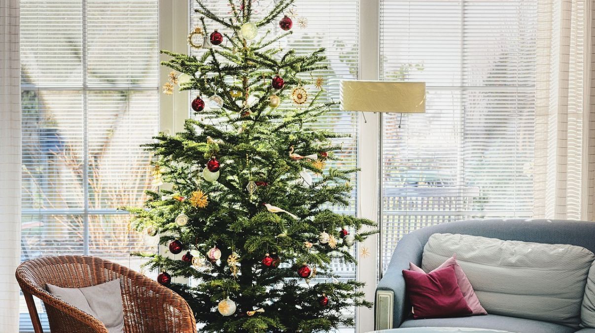 Новорічна ялинка Новорічна ялинка