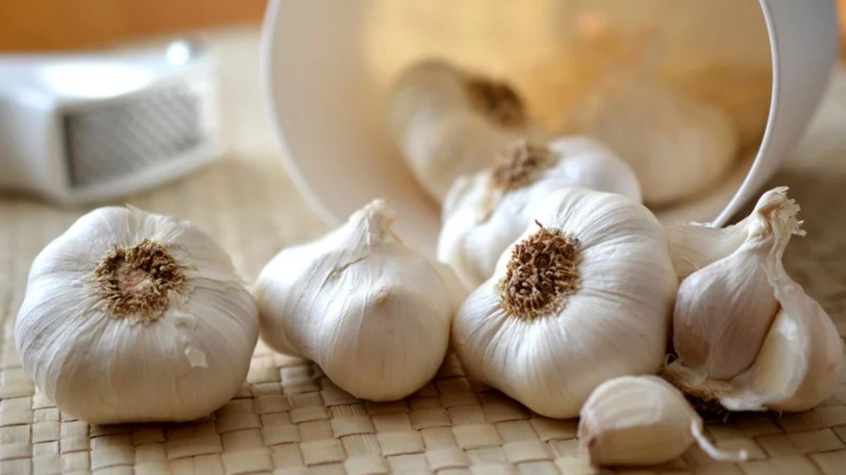 Для чего чеснок нужен комнатным растениям Для чего чеснок нужен комнатным растениям