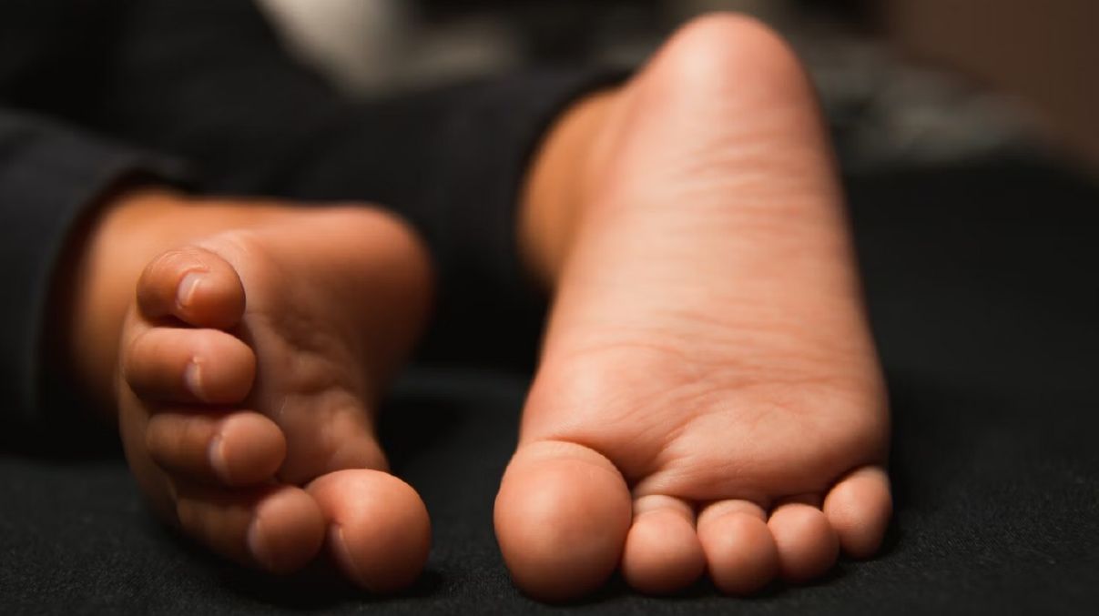 Как называли детей в Киевской области в 2023 году Как называли детей в Киевской области в 2023 году