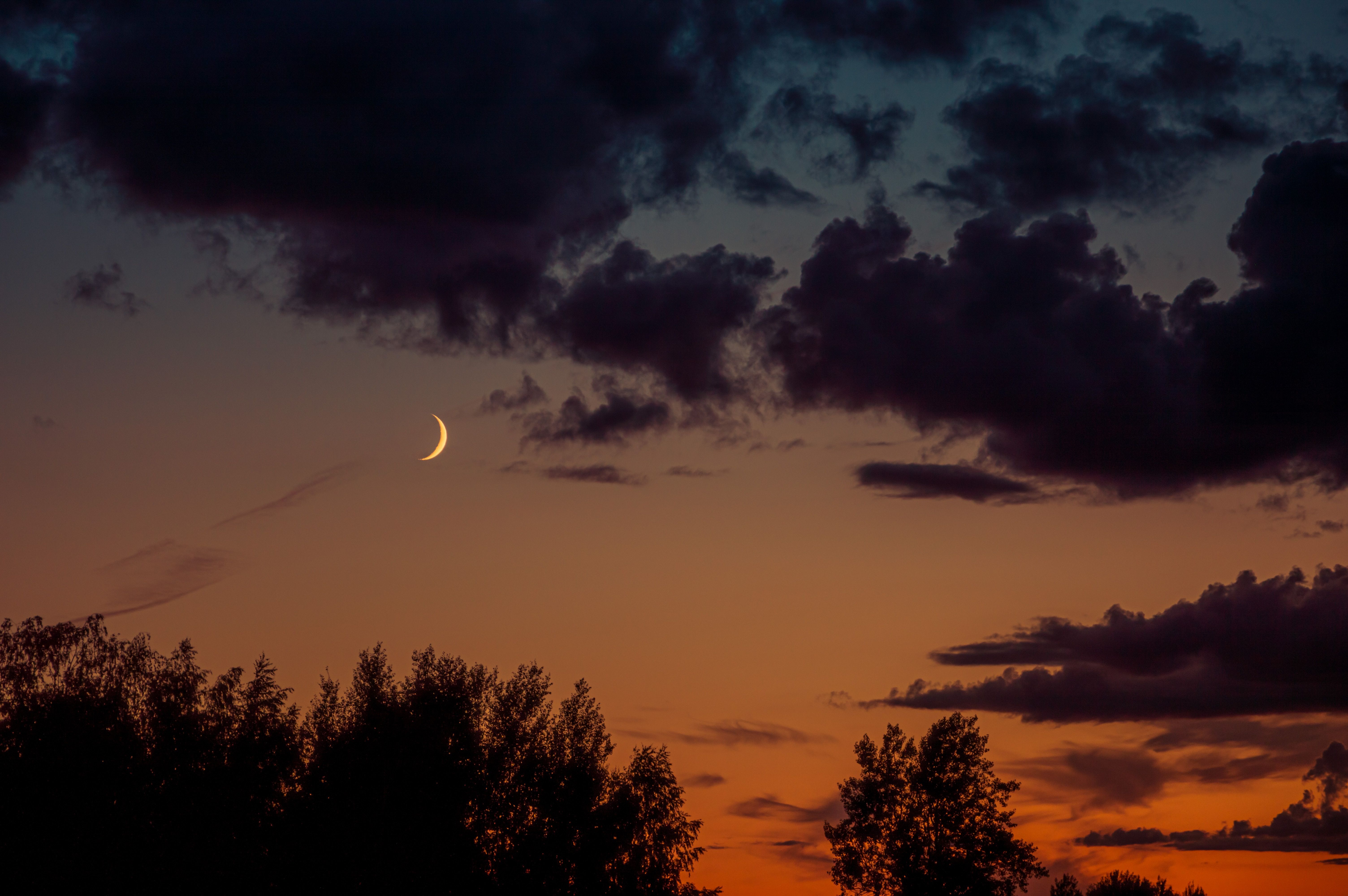 Молодик у Козорозі - Lifestyle 24 Молодик у Козорозі - Lifestyle 24