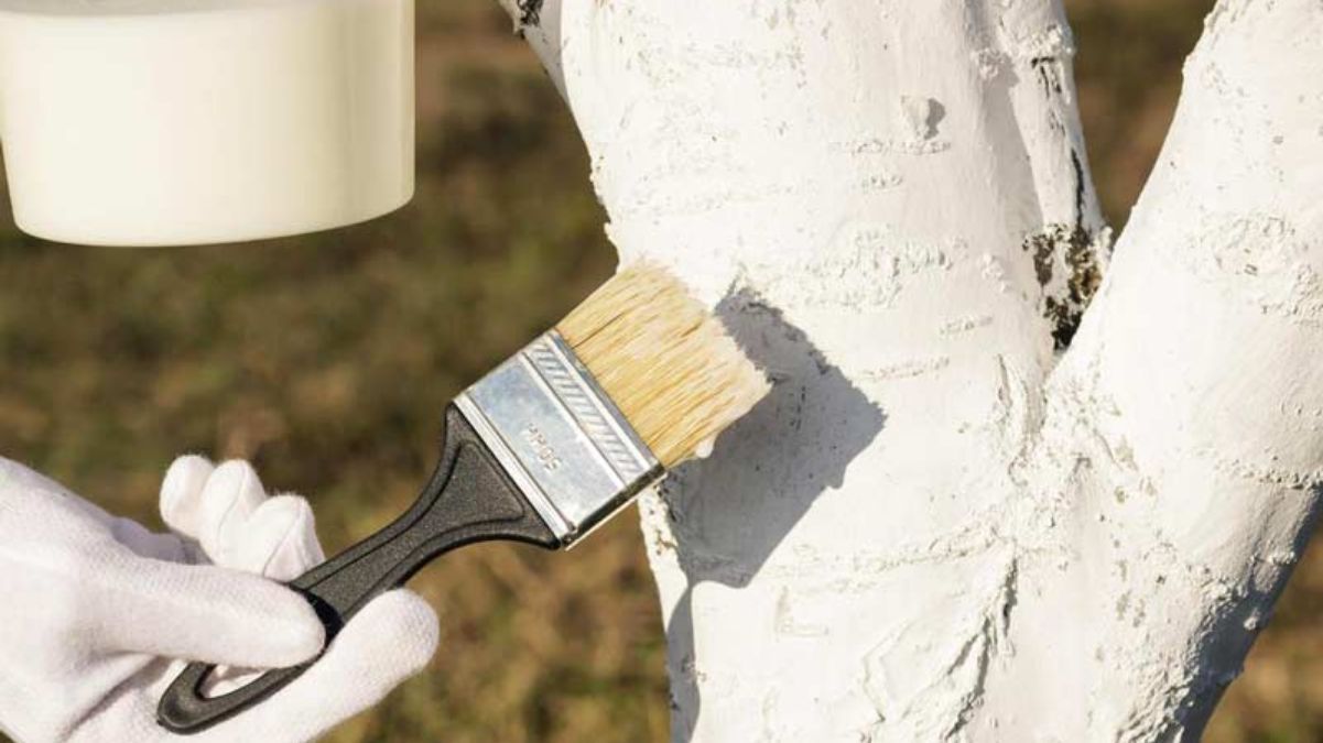 Побілка дерев Побілка дерев