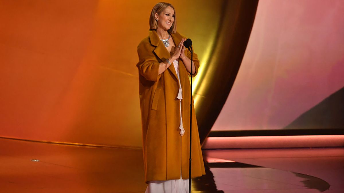 Стильный образ Селин Дион Стильный образ Селин Дион