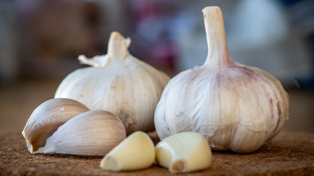 Чем подкормить озимый чеснок Чем подкормить озимый чеснок