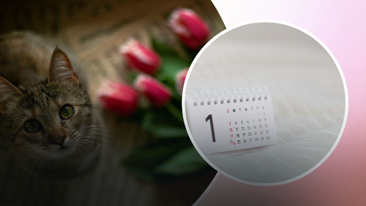 Поздравления с первым днем весны Поздравления с первым днем весны